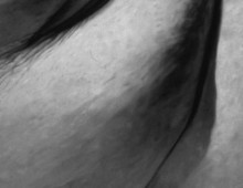 flesh (outside)